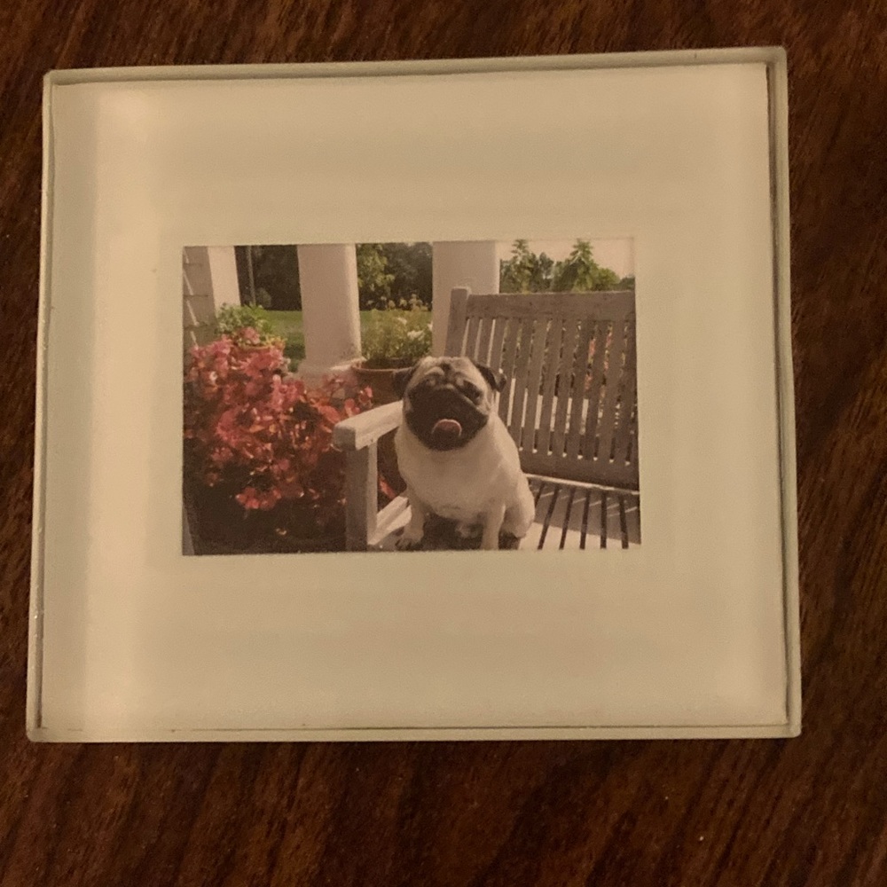 Glass Photo Coaster by Sarah Peyton Home🐶🐶